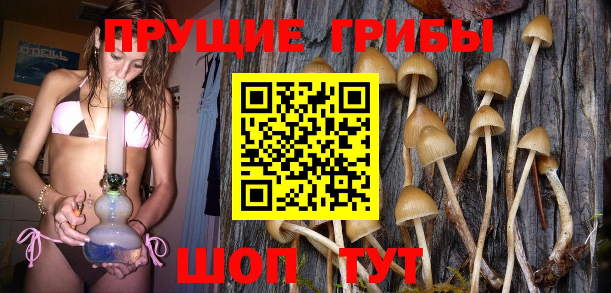 Галлюциногенные грибы Cubensis Тулун