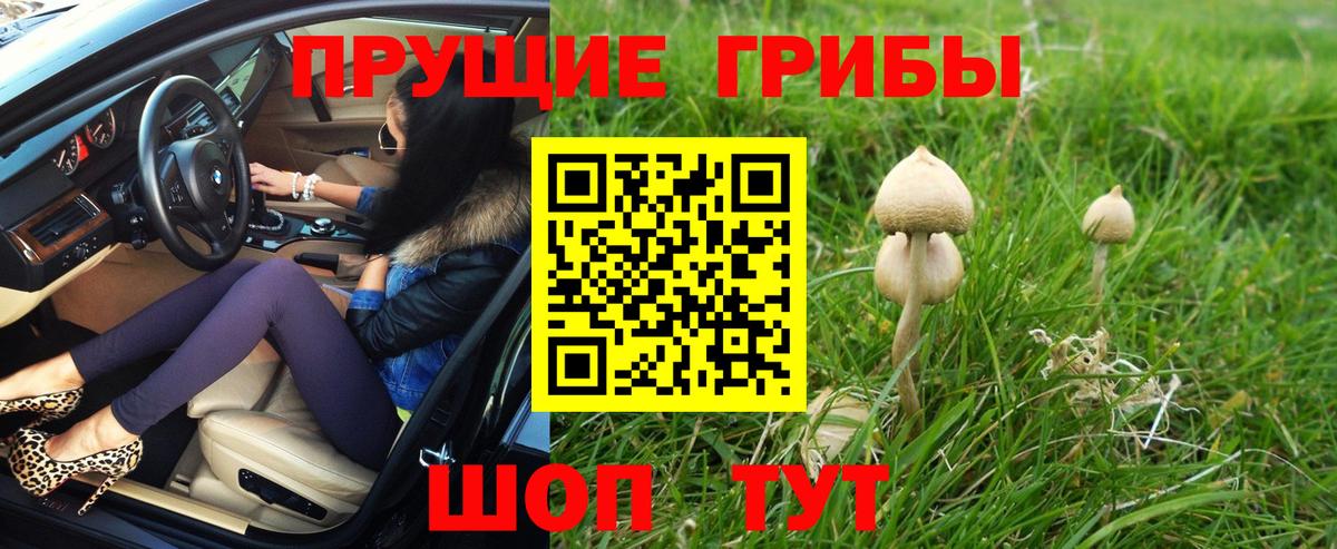 Галлюциногенные грибы Cubensis  Вход с VPN  Псилоцибиновые грибы Magic Shrooms  Тулун 